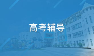 天津桃源教育咨詢（淘學(xué)培訓(xùn)）探析 服務(wù)、特色與學(xué)員反饋